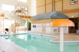 best western inn & suites stony plain, sunrise inn & suites swimming pool